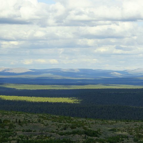 Saariselkää Saariselkää