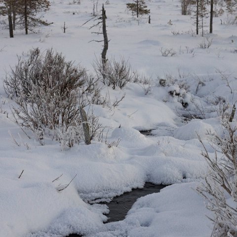 lähdevettä Viinivarasta lähdevettä Viinivarasta