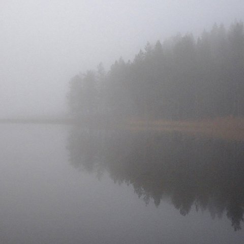Sävytön syksy Sävytön syksy
