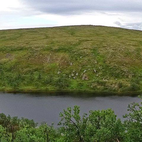 Goahppelasjärvi Goahppelasjärvi