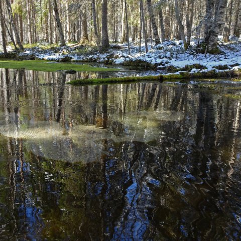 Viinivaaran lähde Viinivaaran lähde