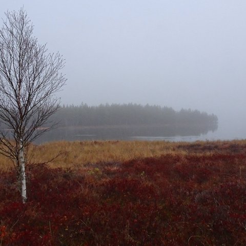 ranta sumussa ranta sumussa